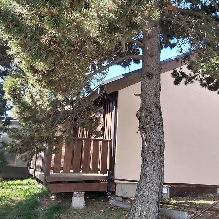 Chalet De L Ours Bolquere Ngoại thất bức ảnh
