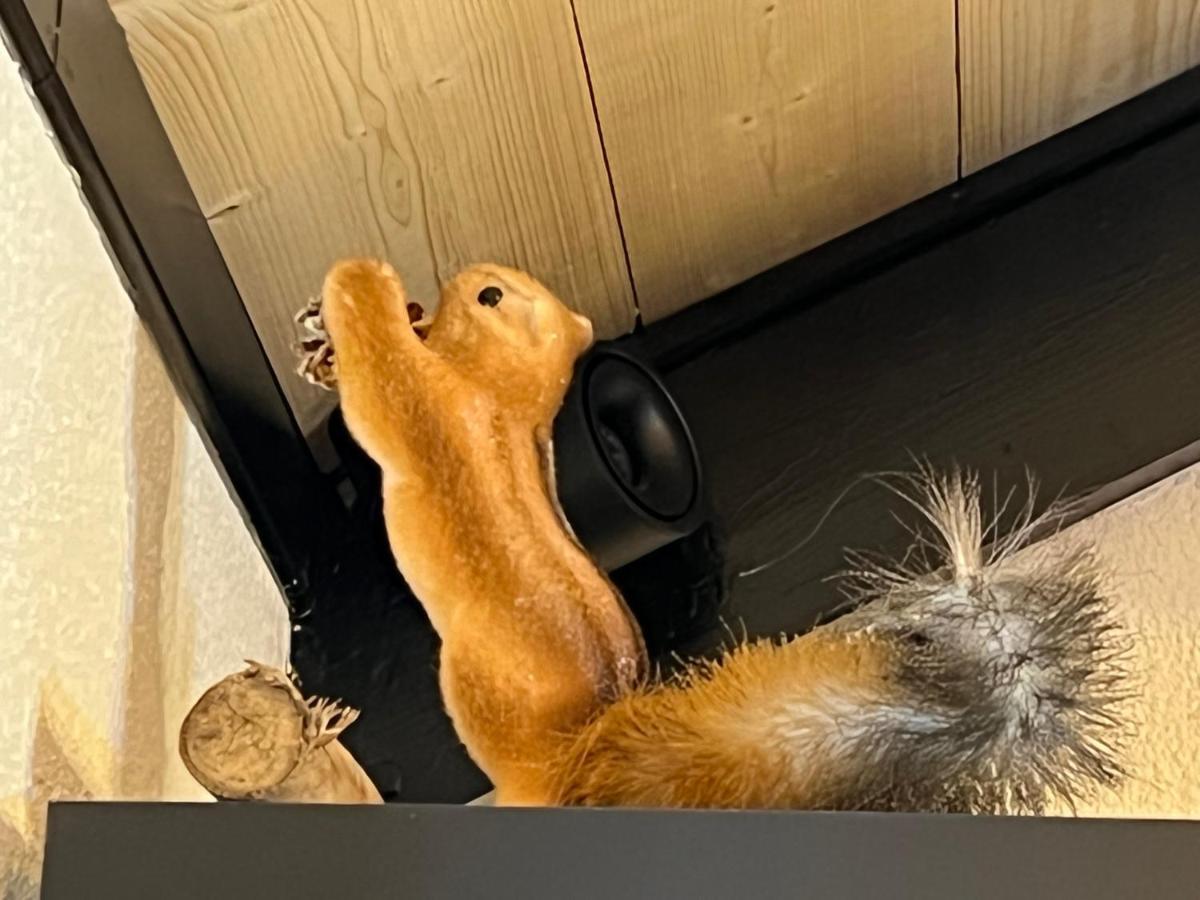 Chalet De L Ours Bolquere Ngoại thất bức ảnh