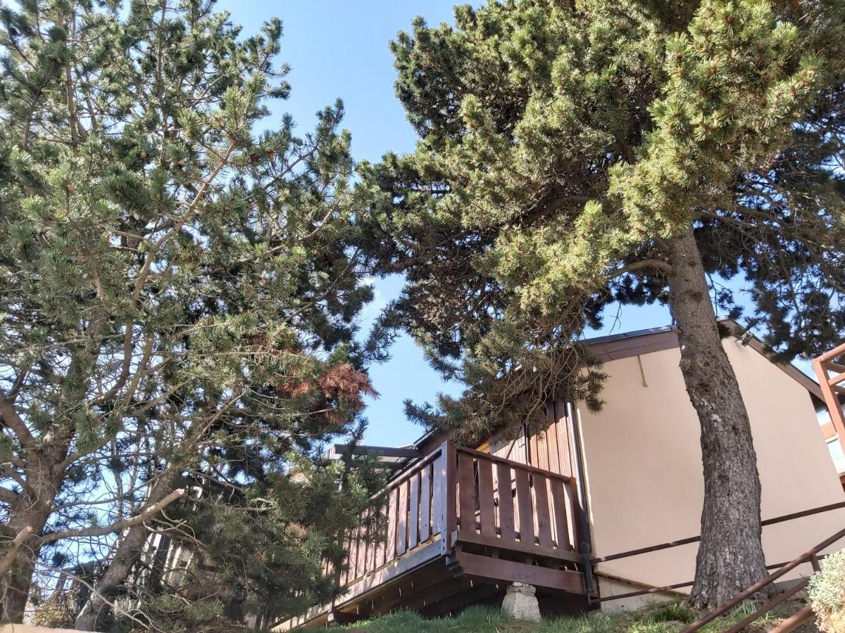 Chalet De L Ours Bolquere Ngoại thất bức ảnh